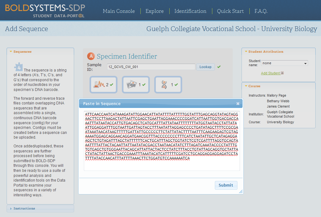 Paste Sequence