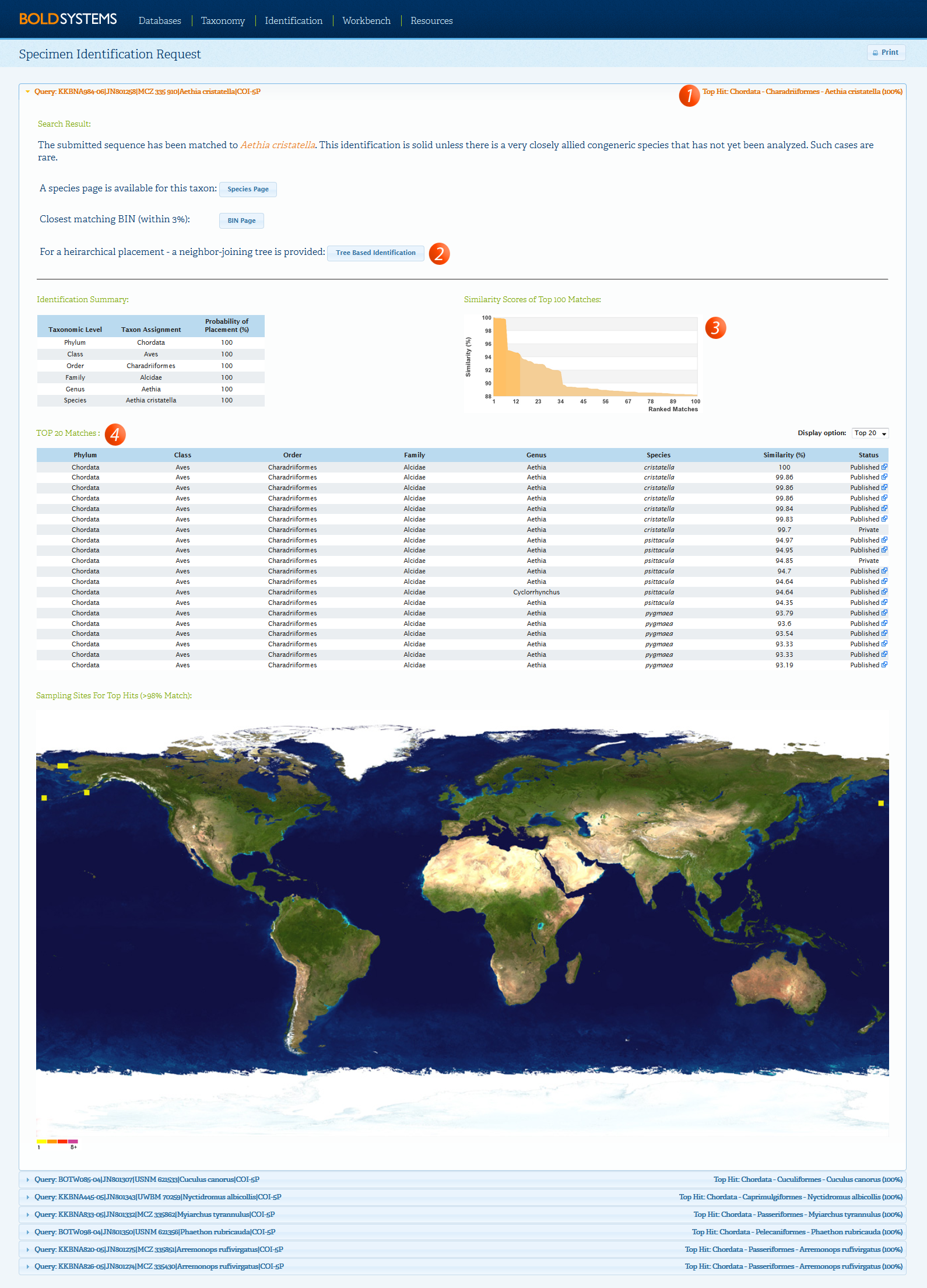 ID engine result 