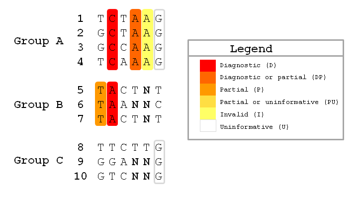 Diagnostic Examples