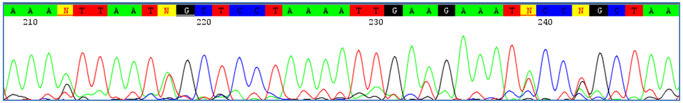 double peak amplification 