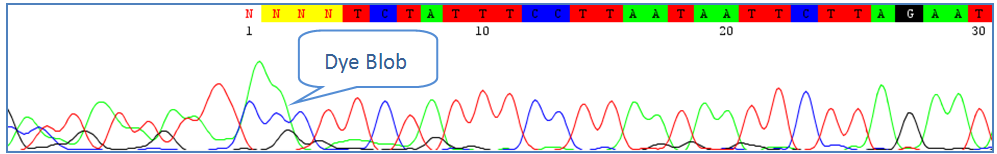 Dye Blob st at the beginning of a atrace 